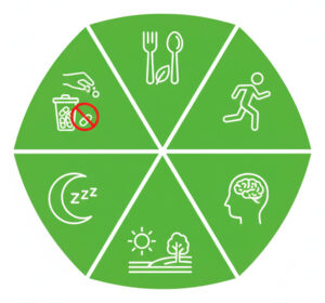 Kategorier af vaner i forbindelse med livsstilsbehandling